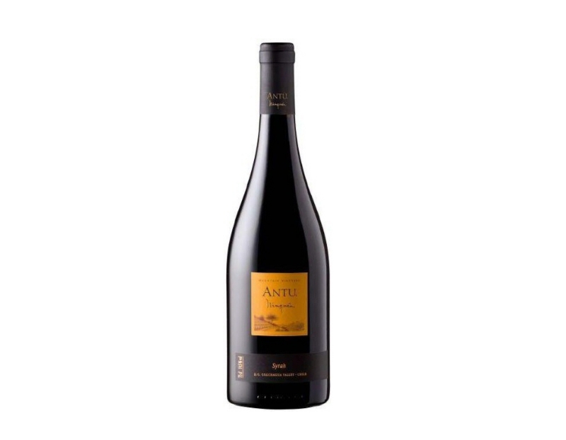 Shiraz Antu Mongras