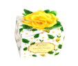 Yellow Box